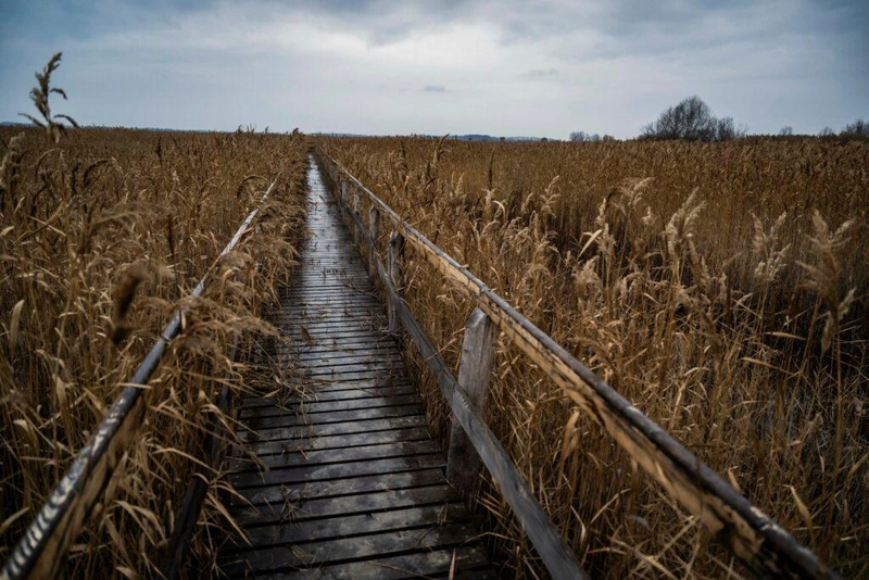 Akasztó, LIFE projektzáró, NP, Kőrös-MAros Nemzeti Park, KMNP