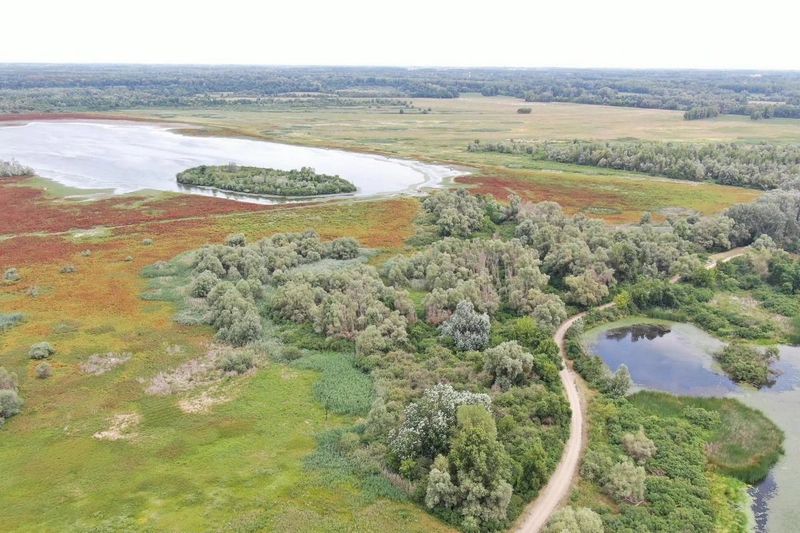 nagy_to__knp_resize