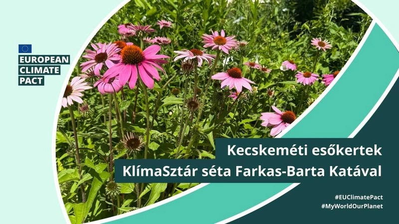 Kecskeméti esőkertek - KlímaSztár séta Farkas-Barta Katával