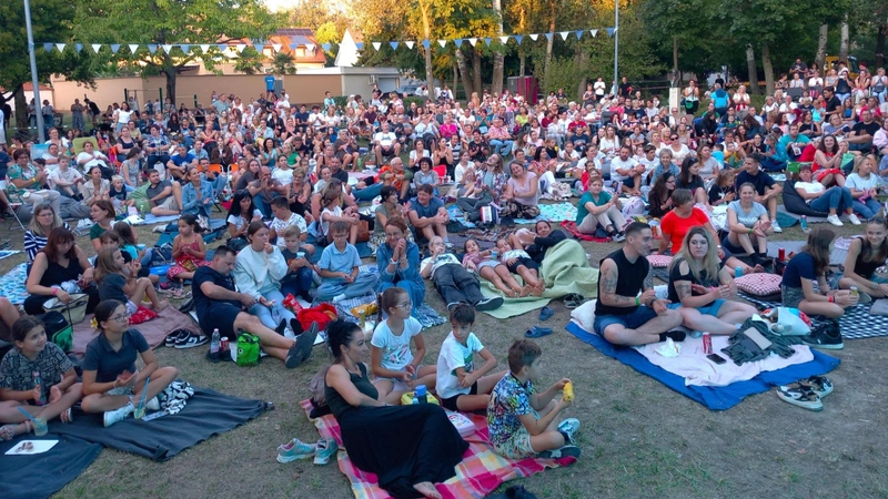 Danyi Boti Petőfi Park jótékonysági kertmozi (1)