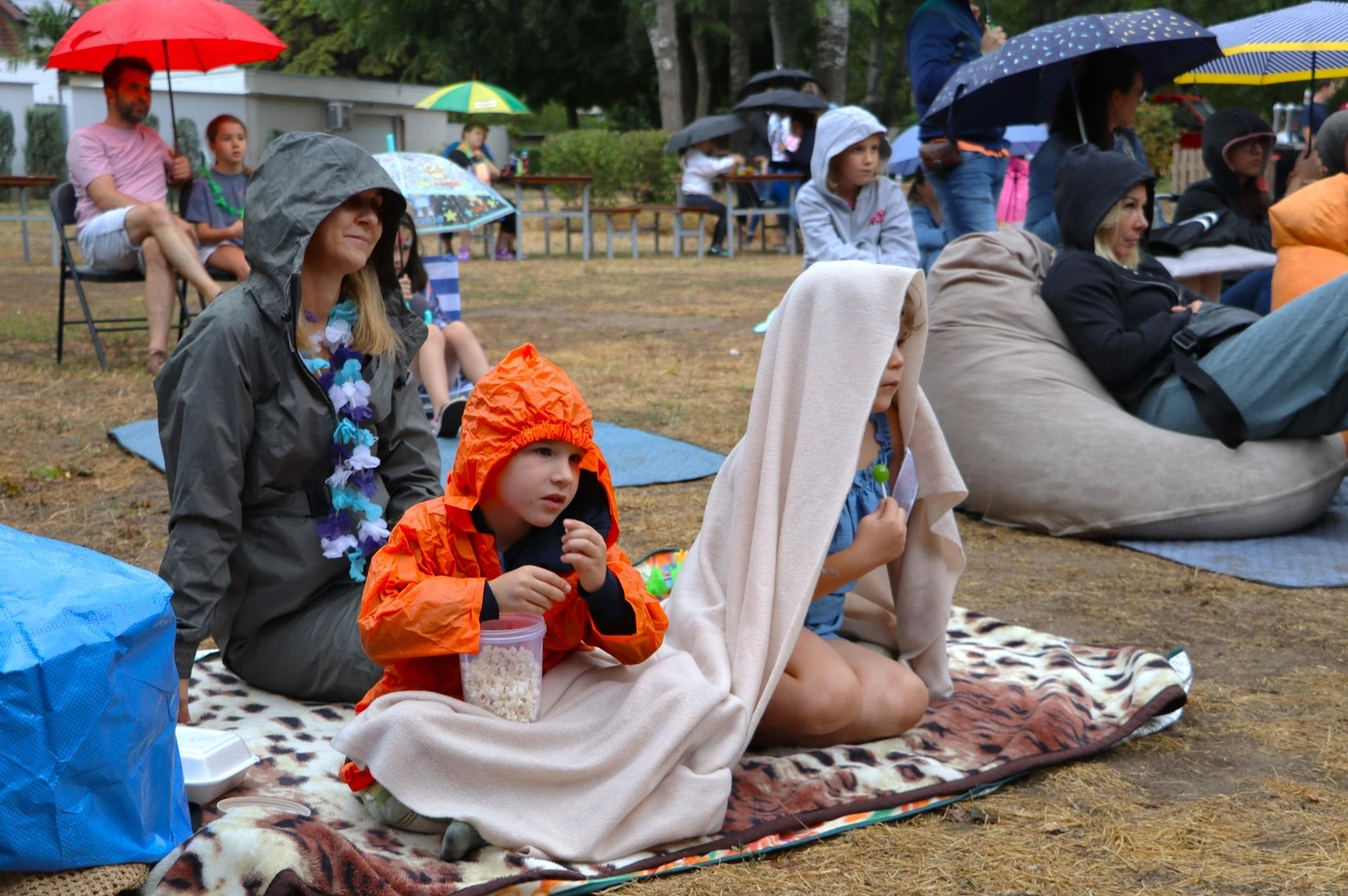Petőfi Park jótékonysági kertmozi piknik (14)