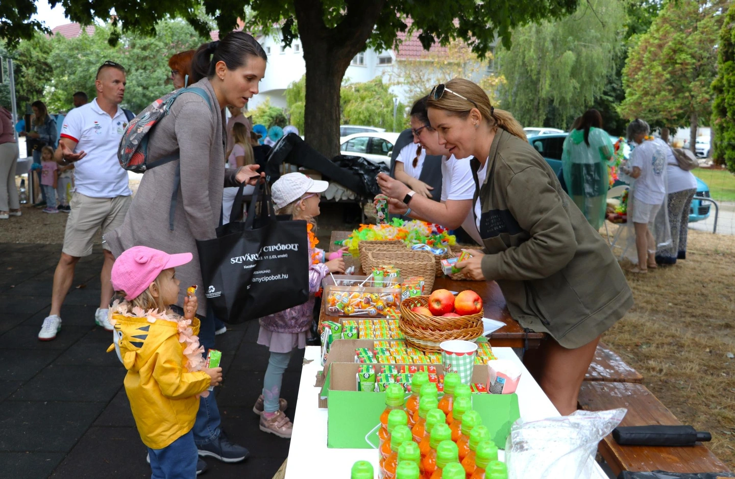 Petőfi Park jótékonysági kertmozi piknik (18)