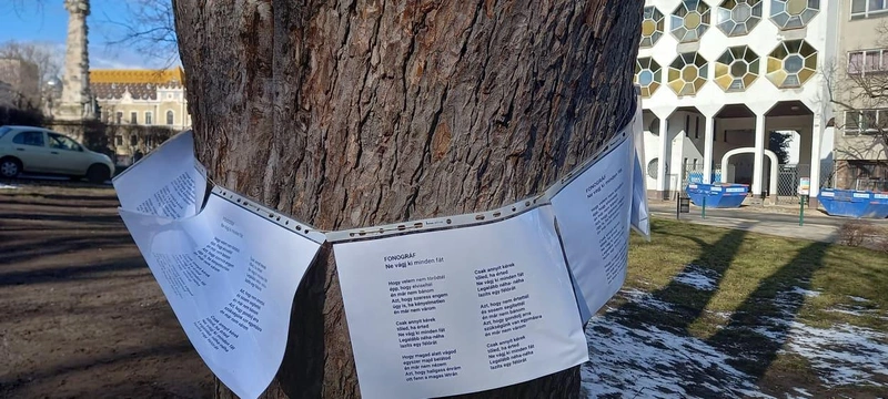 Fonográf zenekar Ne vágj ki minden fát üzenetével vették körbe a fák törzseit / Fotó: kecsup.hu