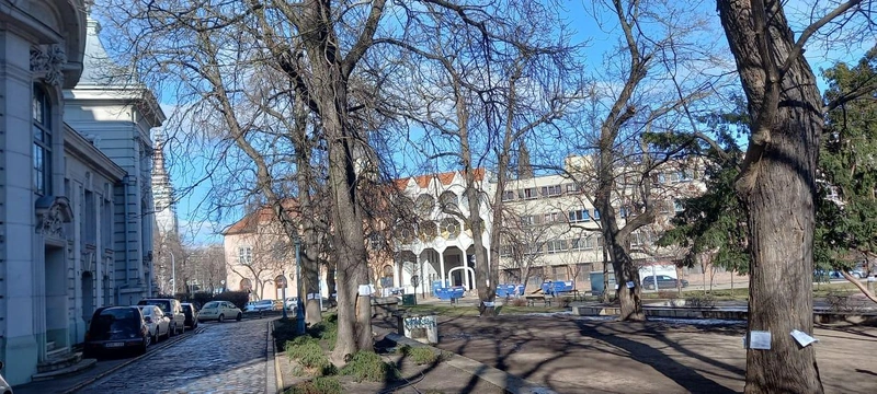 Kivágták volna a fákat a Kecskeméti Katona József Nemzeti Színház mellett lévő közparkban / Fotó: kecsup.hu