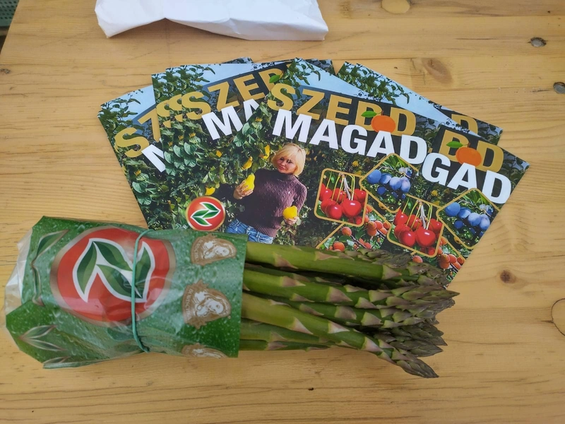 bacszoldert-sparga4.jpg