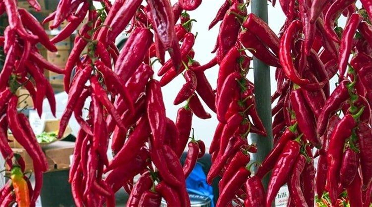 fUszerpaprika_ind-min-1.jpg