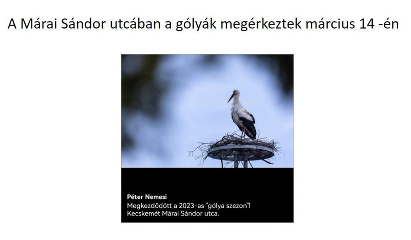 Forrás: Pászti András önkormányzati képviselő