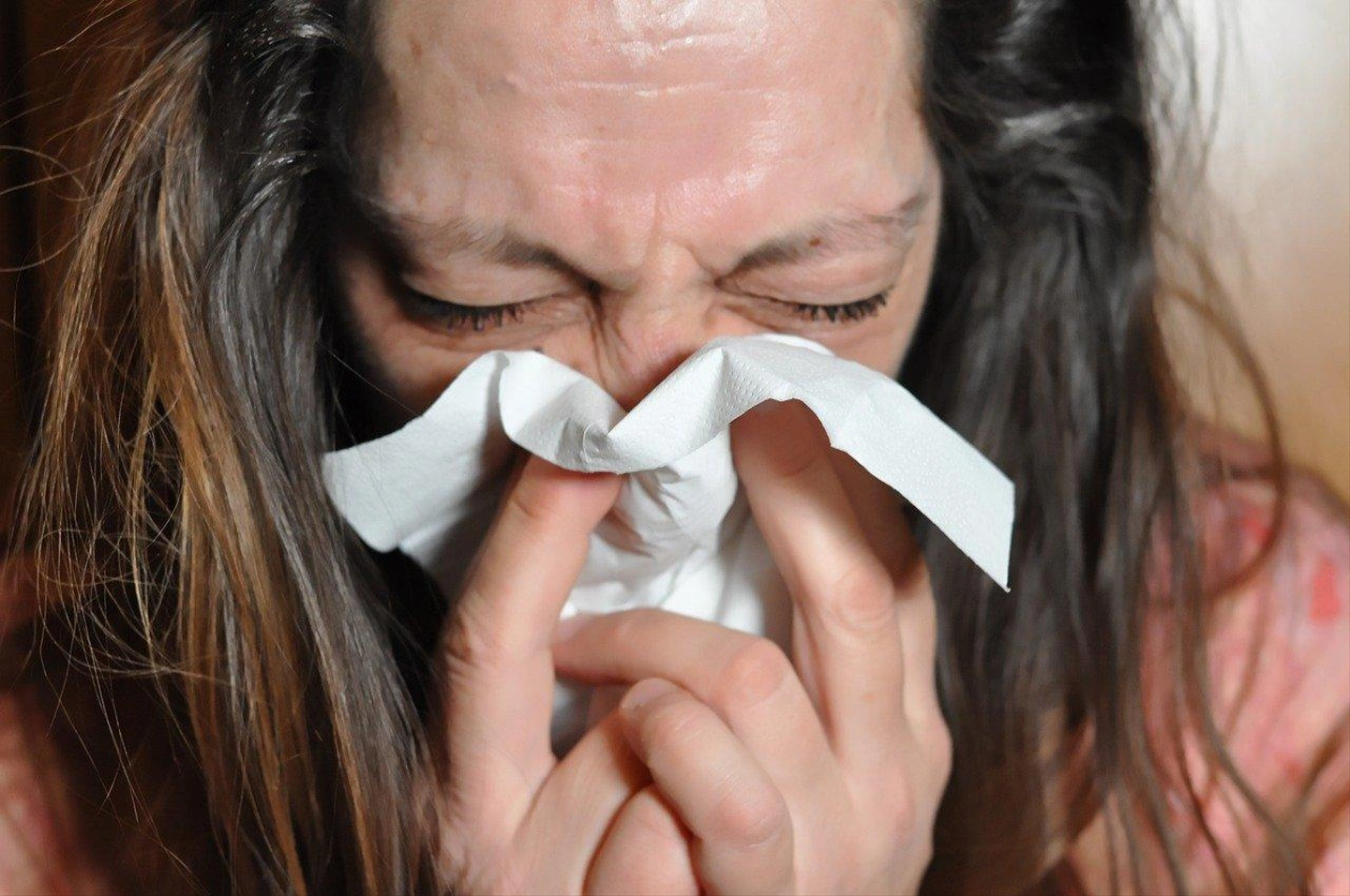 sniff-gc6968a93b_1280.jpg