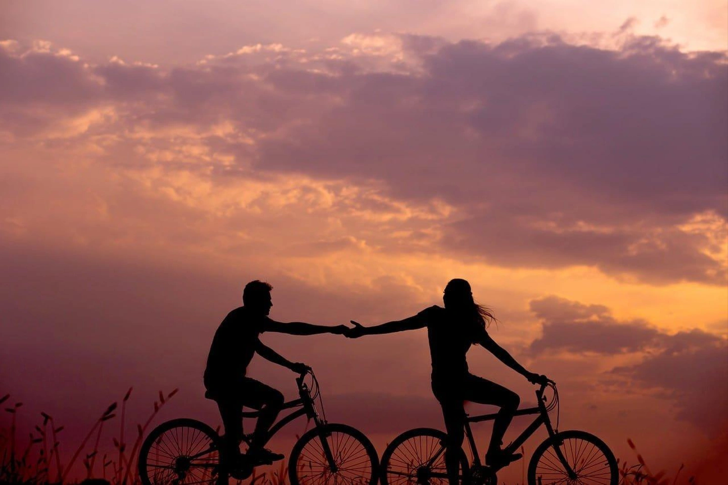 bicycle-1867046_1280.jpg