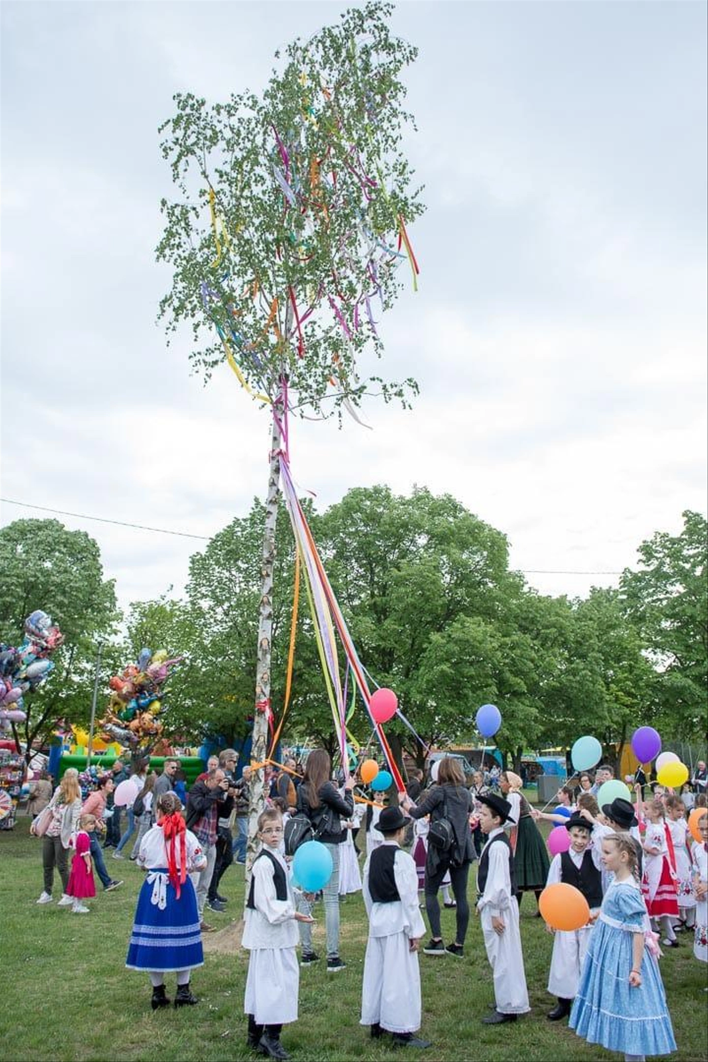D72_2244.jpg