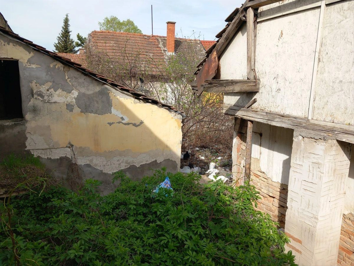 drogtanya-2.jpg