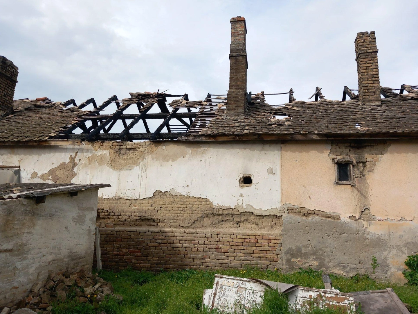 drogtanya-4.jpg