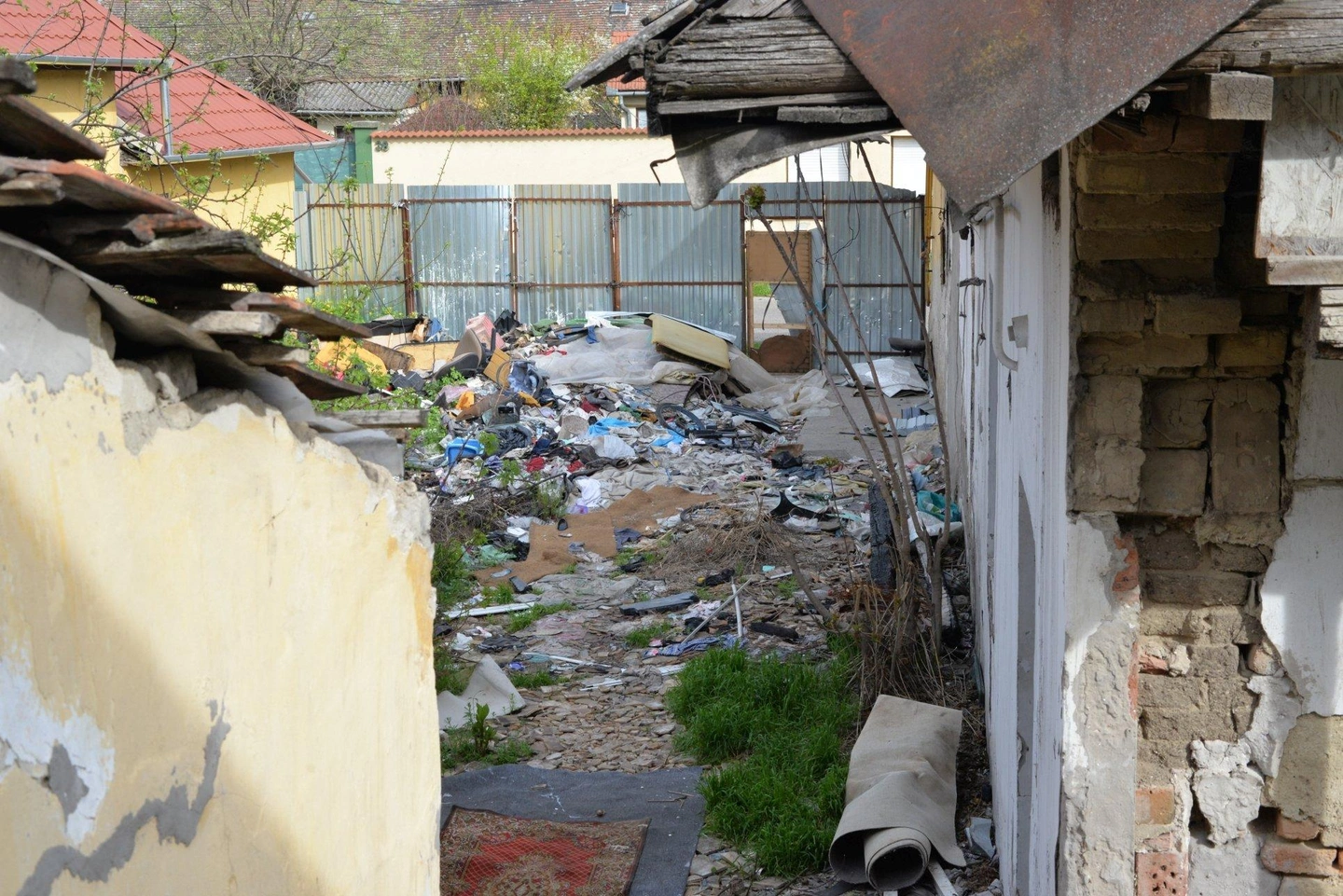 drogtanya-9.jpg