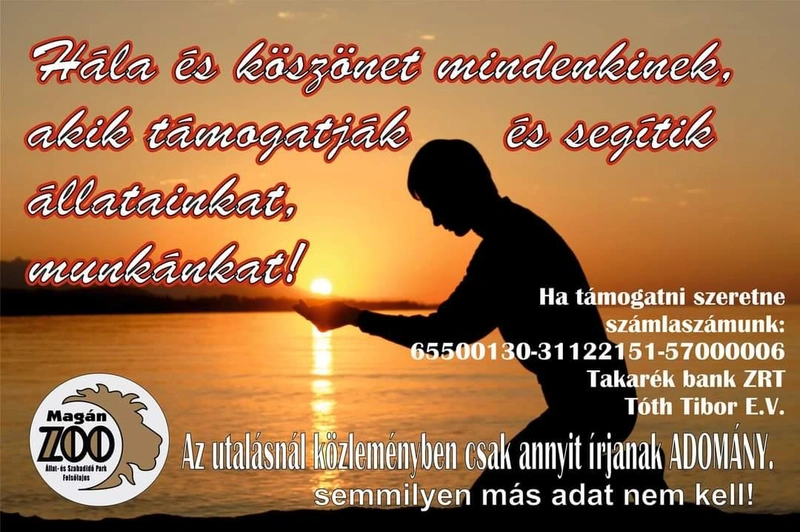FB_IMG_1613546084109.jpg