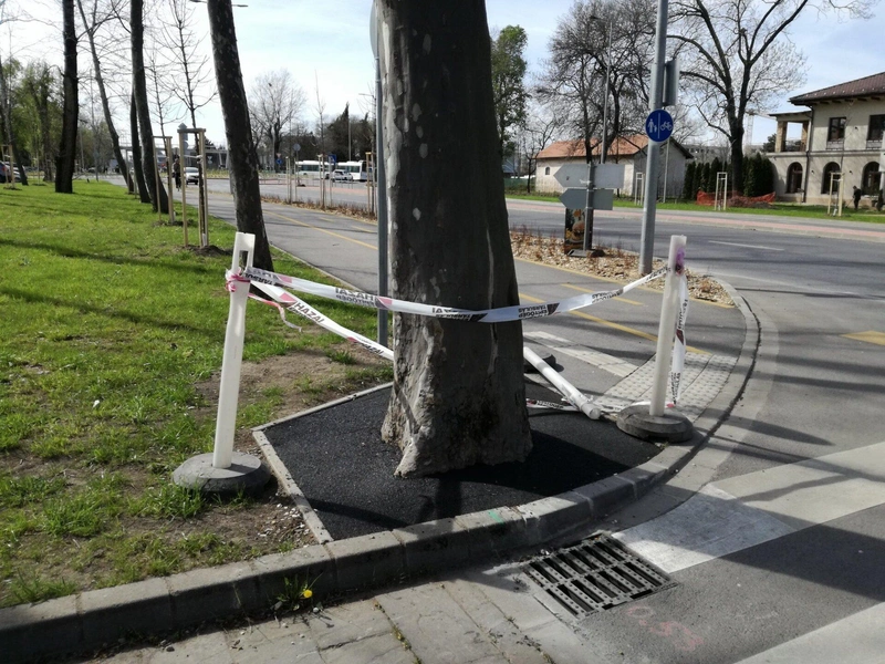 Elkészülte után így nézett ki a burkolat. Fotó: KecsUP