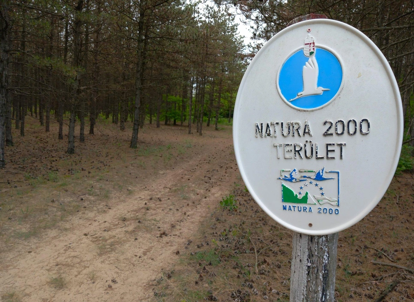 Harom-Hatar-Teljesitmenytura-2024-20.jpg