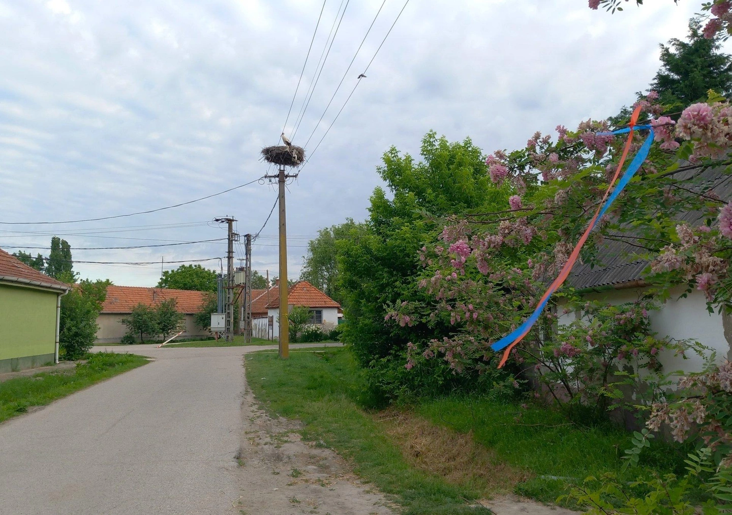 Harom-Hatar-Teljesitmenytura-2024-2.jpg