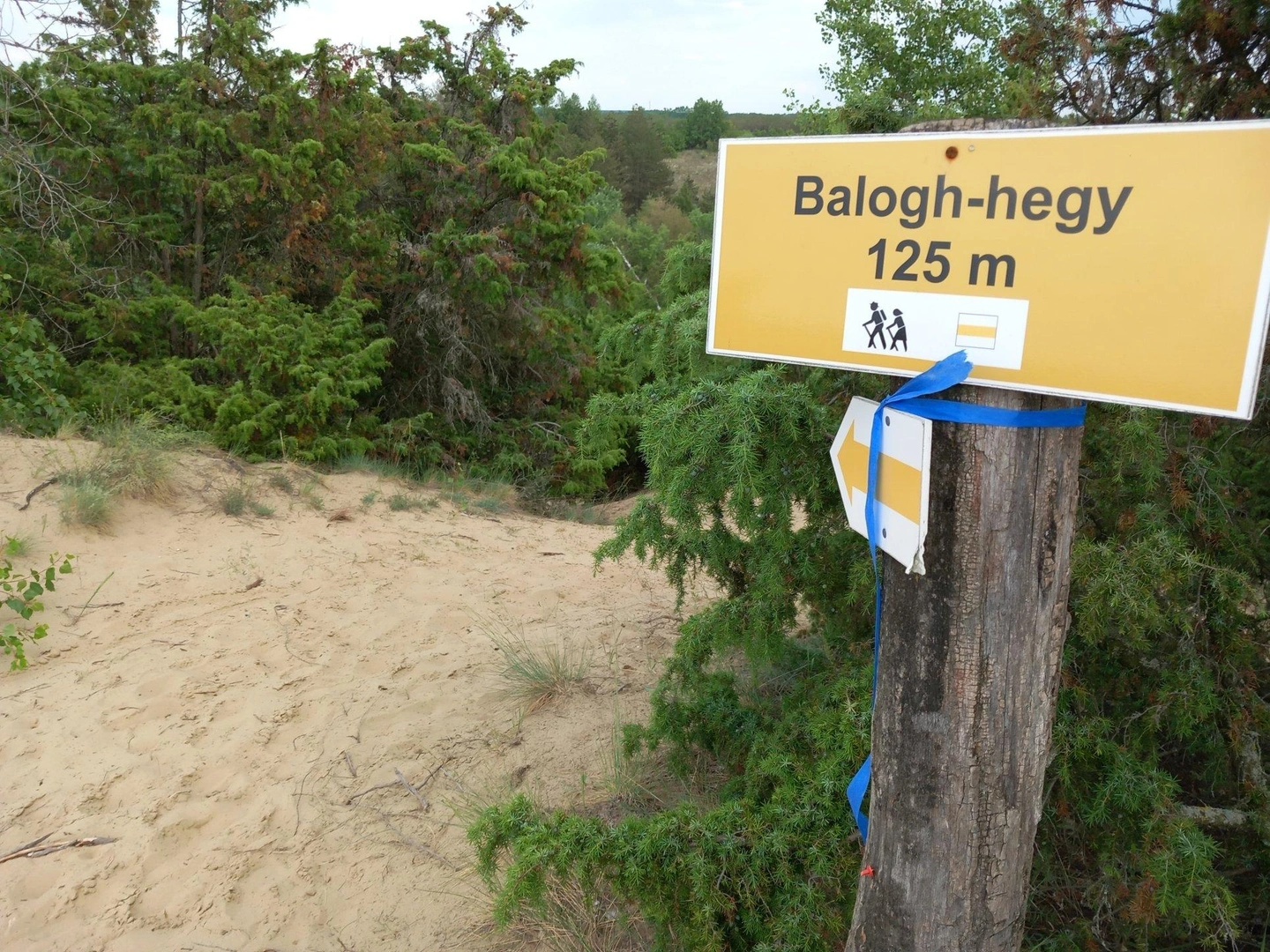 Harom-Hatar-Teljesitmenytura-2024-43.jpg