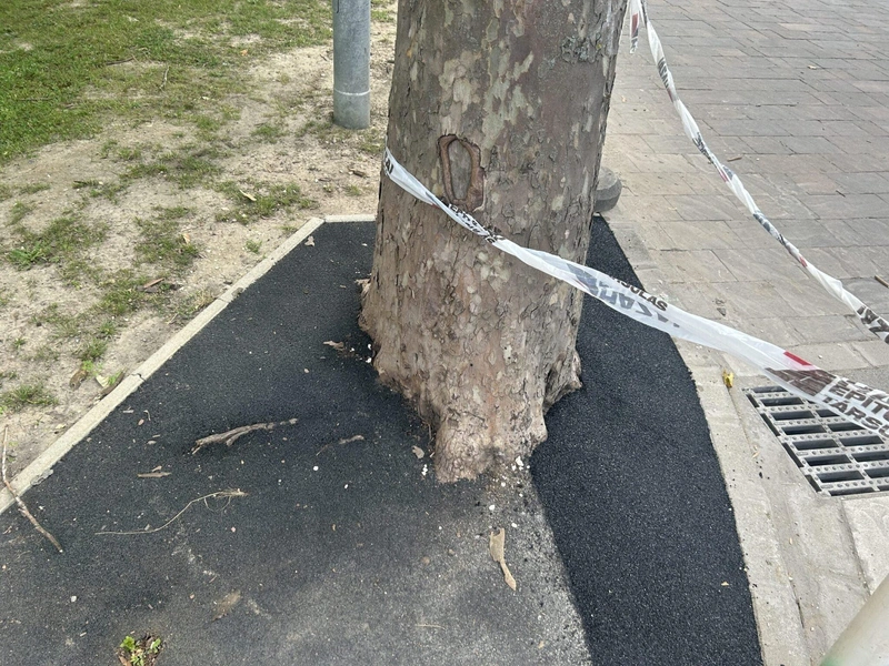 Ez pedig már a július 4-ei állapot. Fotó: KecsUP