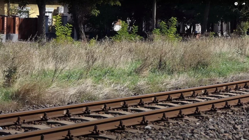 Folyóka sor / Fotó: KecsUP Hírek