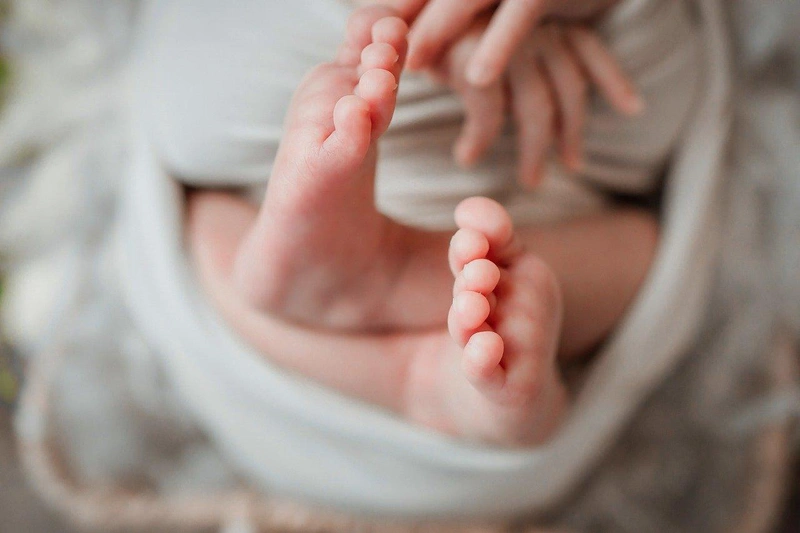 newborn-6399136_1280.jpg
