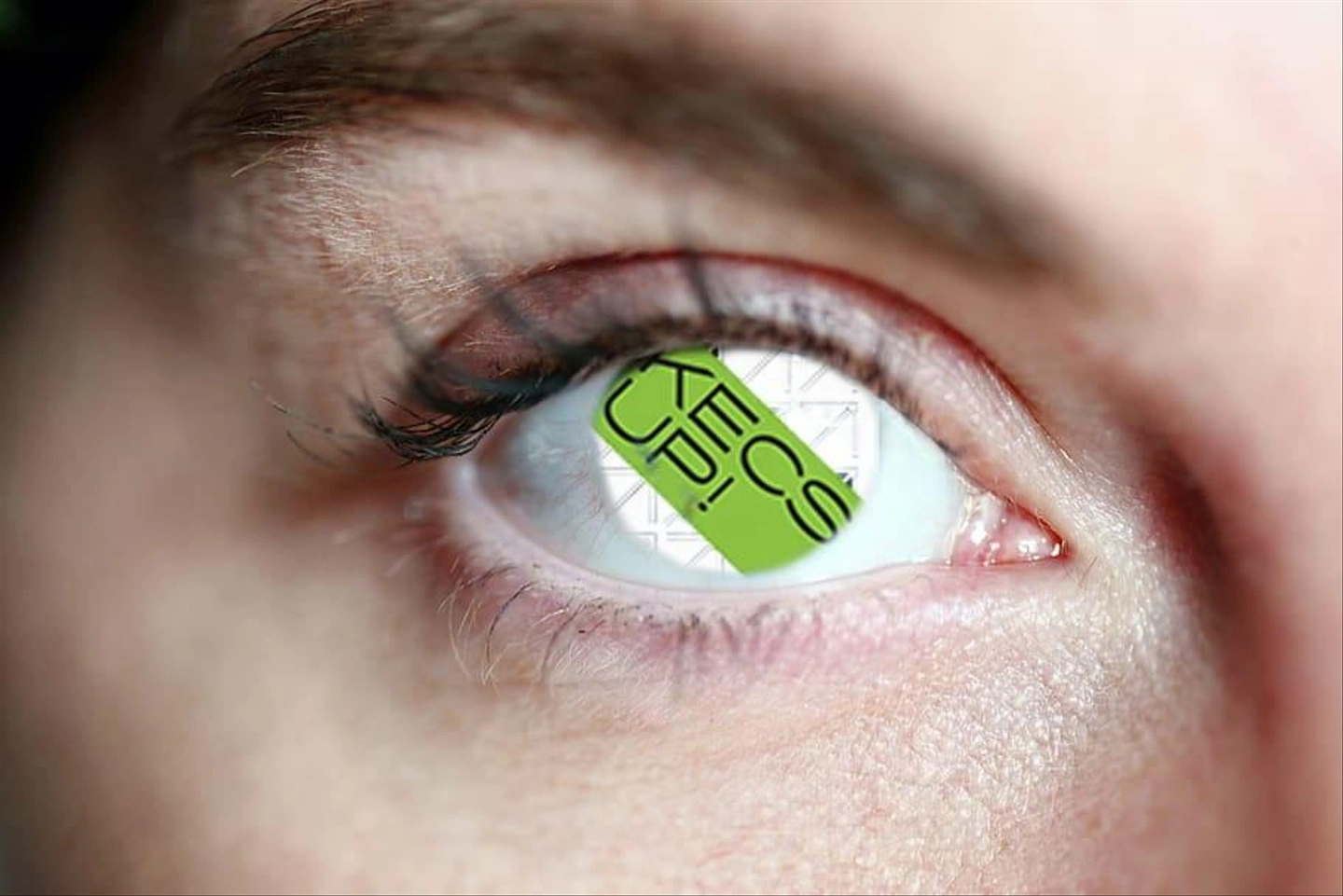 szem.jpg