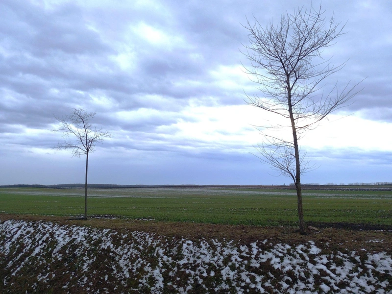 ZF-epitkezes-19.jpg