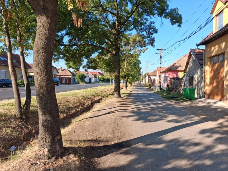 Védőháló adománybolt 06