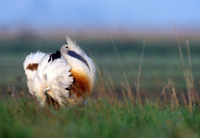 Forrás: knp.hu