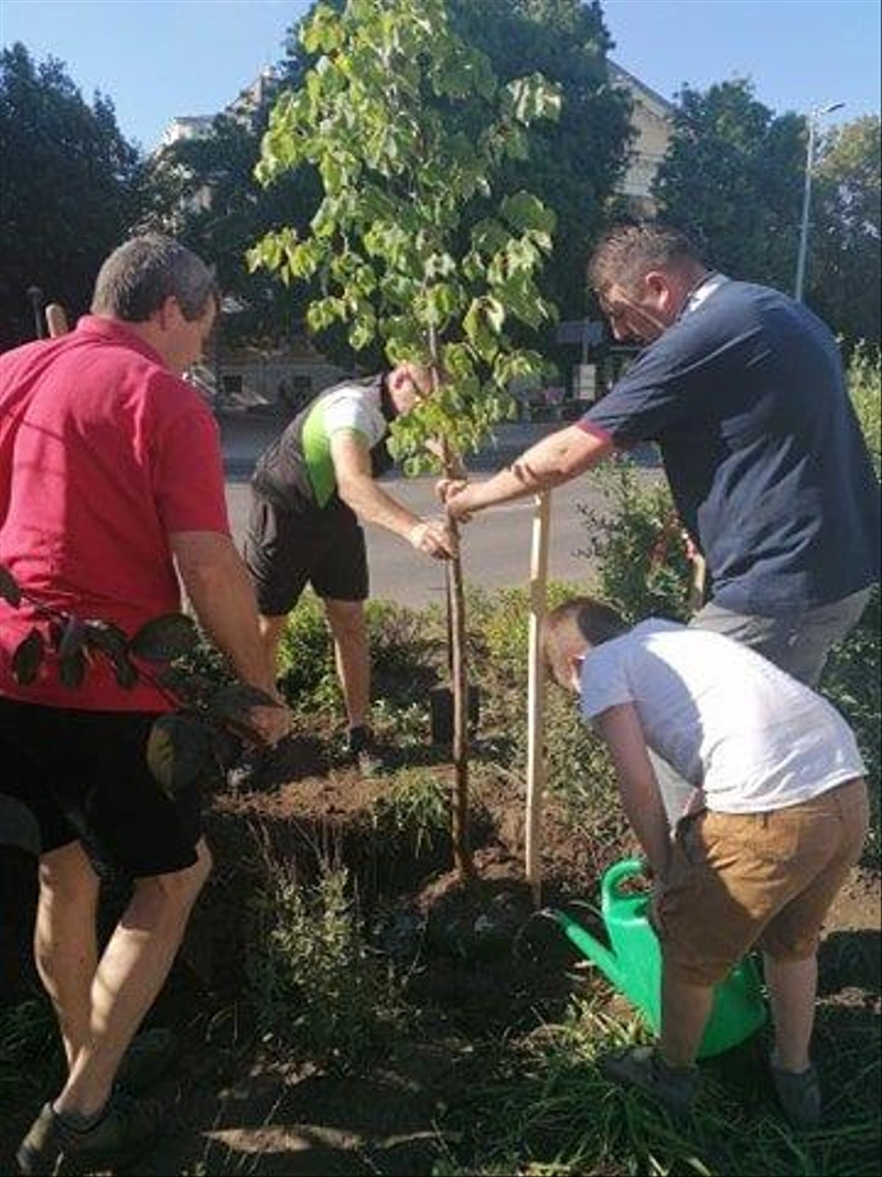 A civilek fát ültetnek / Fotó: A faültetők