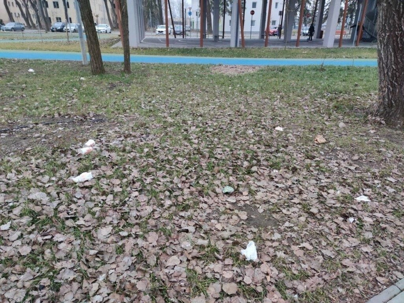 1612793374888-1024x768.jpg