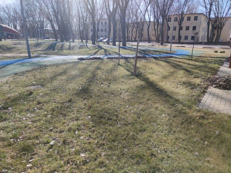 1613642993603-1-1024x768.jpg