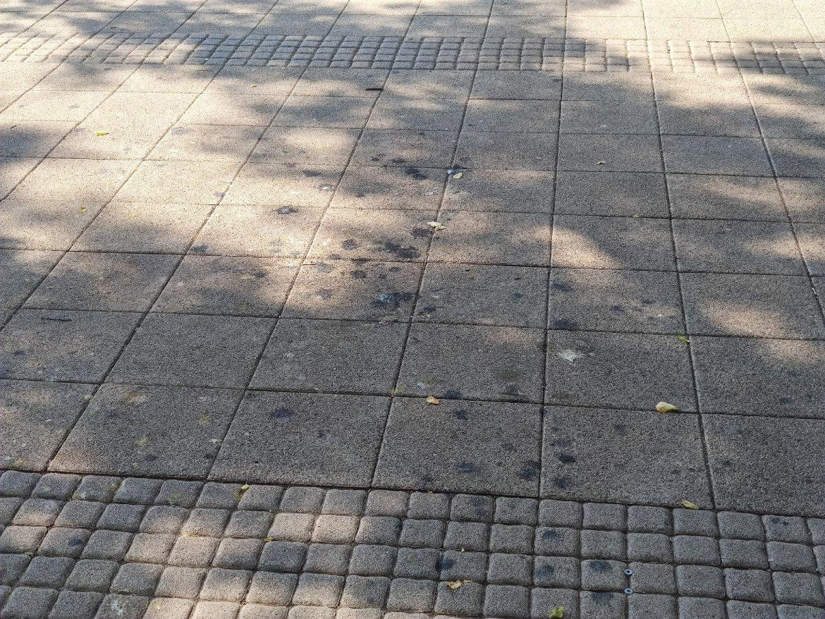1625908760380-1-560x420.jpg