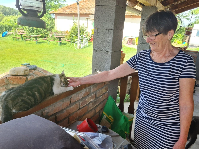 Orbán Gyöngyi hosszú évtizedek óta küzd a kóbor és a bántalmazott állatok védelméért Fotó: Bajáki Zsanett