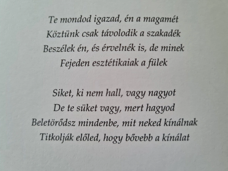 Részlet Marosi Nikolett Szakadék című verséből Fotó: Bajáki Zsanett