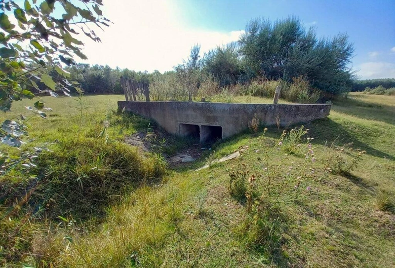 A Csukás-éri-főcsatorna Kecskeméten, a Kápolna-rét mellett / Fotó: Hraskó István