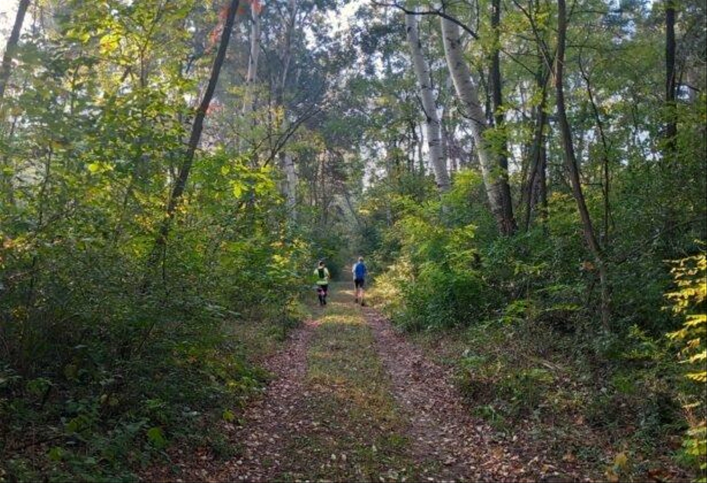 20230930_083502-614x420.jpg