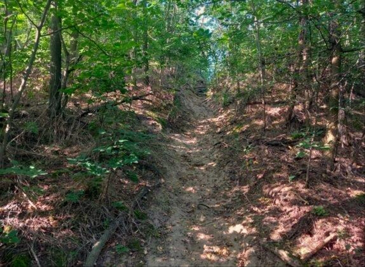 20230930_084222-574x420.jpg
