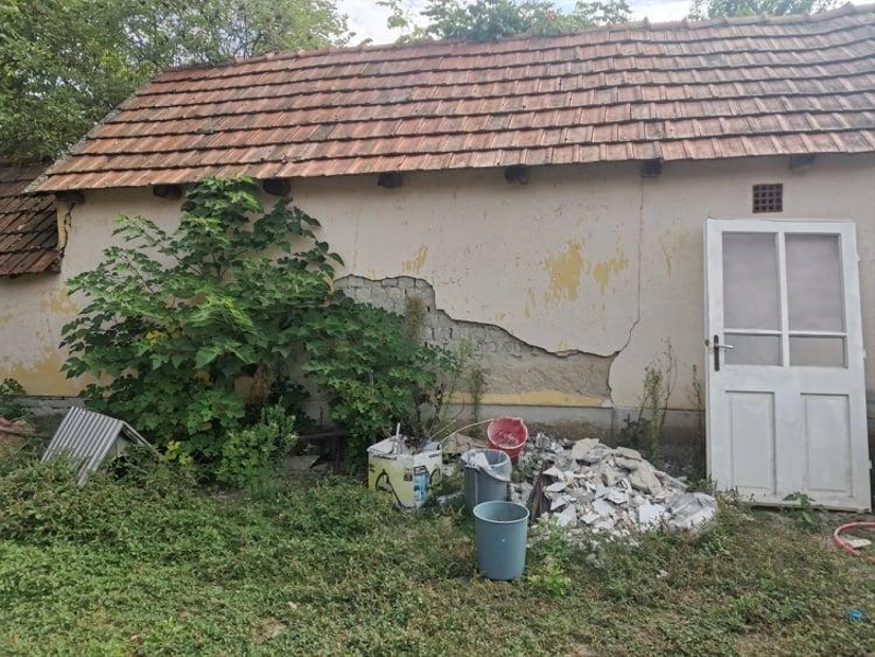 Fő épület oldalából kinövő fa / Fotó: kecsup.hu