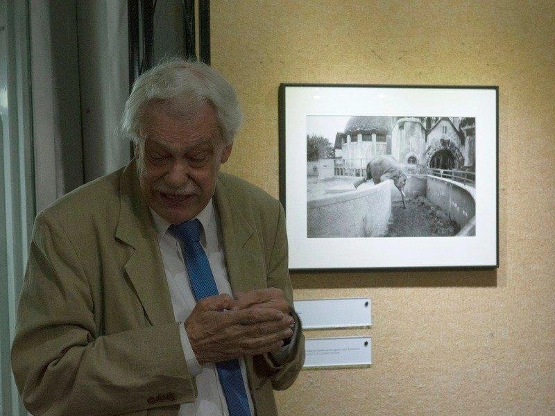 Fejér Zoltán Szabó Ildikó Elefánt (1995) fotográfiája mellett / Fotó: Felicides Ildikó