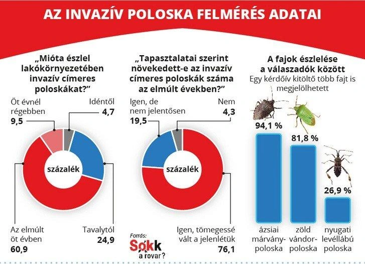 (Kép: Sokk a rovar)