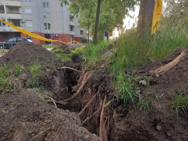 Dózsa György út / Fotó: Hraskó István