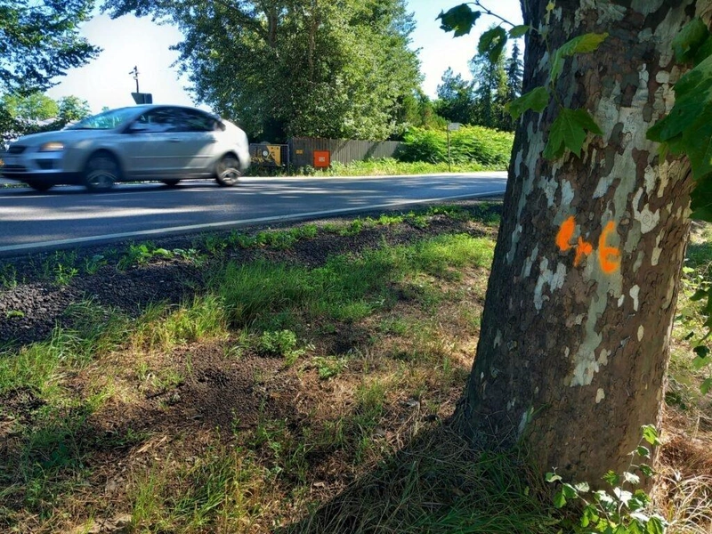Fotó: Hraskó István