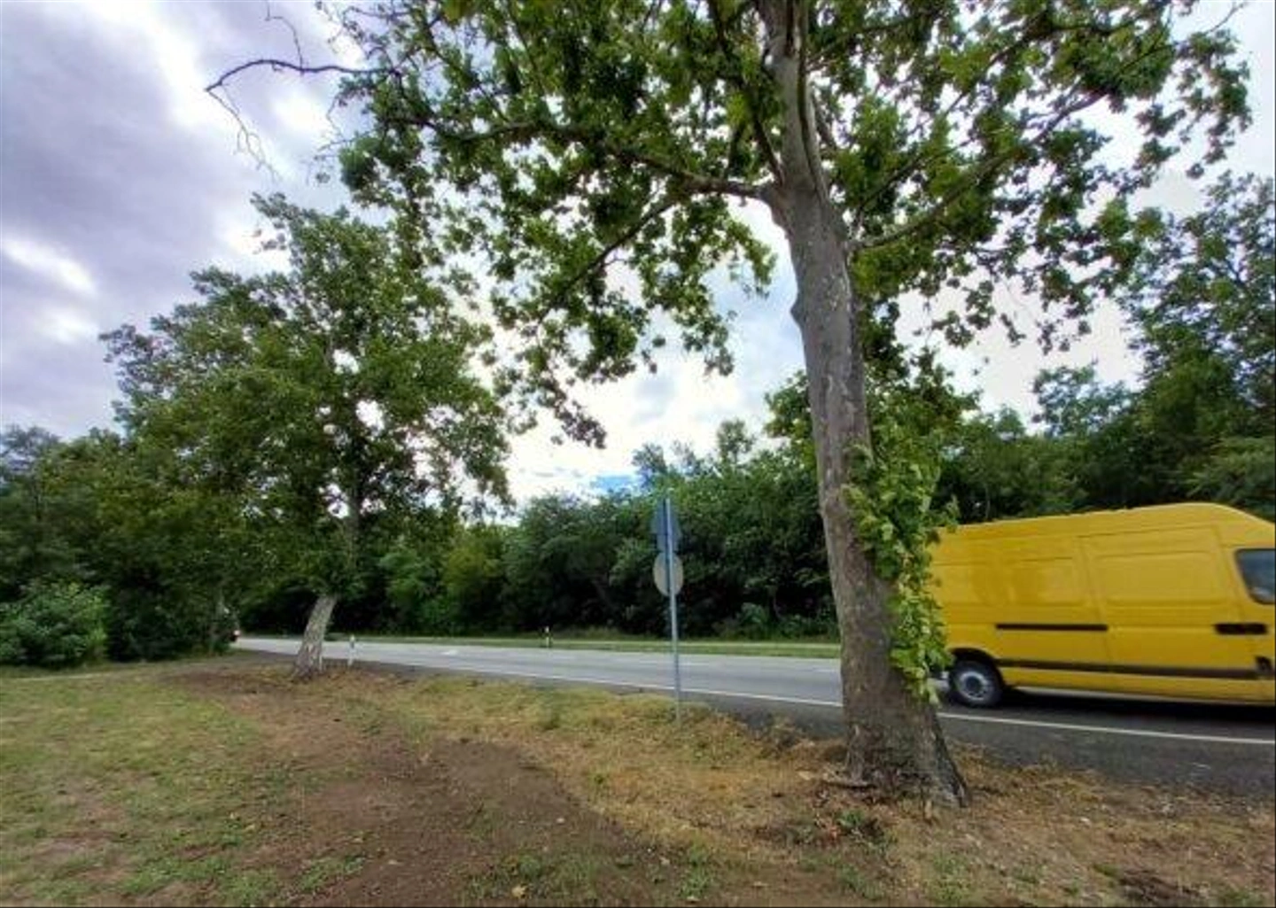 52es-fout-melletti-megjelolt-fak-39-590x420.jpg