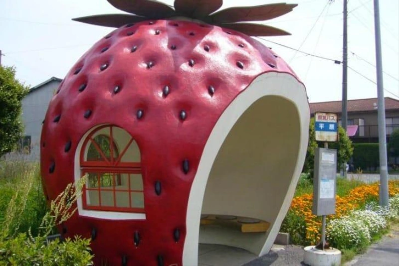 forrás: inhabitat.com