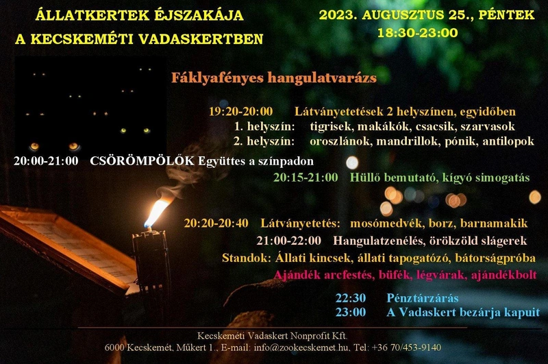 Az állatkertek éjszakája több izgalmas programot is kínál / Forrás: Kecskeméti Vadaskert
