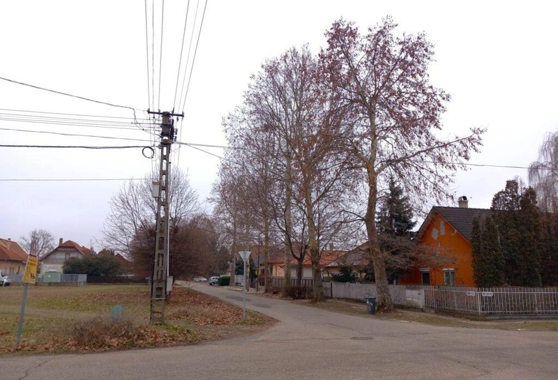 Fotó: Hraskó István