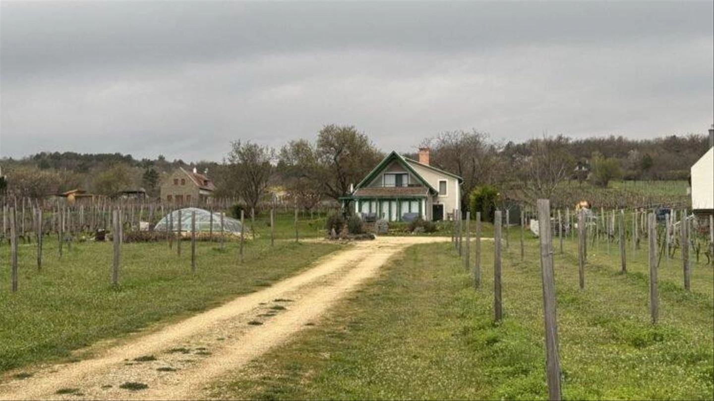 Aszofo-Szemereyne-13-747x420.jpg