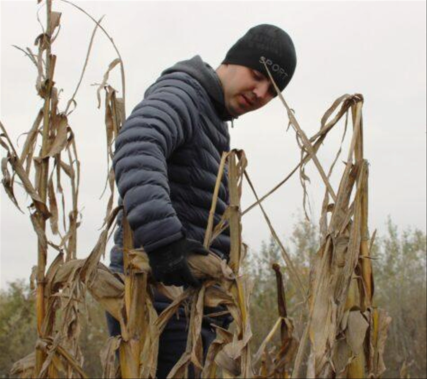 Autista-farm-2024-november-109-474x420.jpg