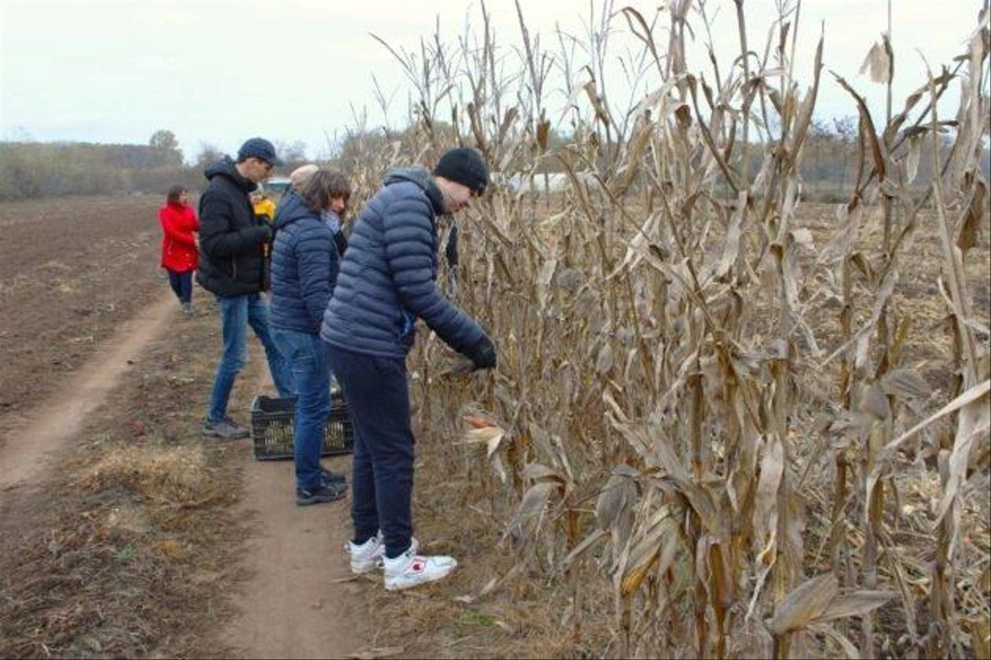 Autista-farm-2024-november-121-630x420.jpg